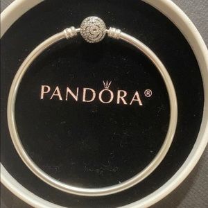 Pandora Bangle Special Edition Beauty And the Best